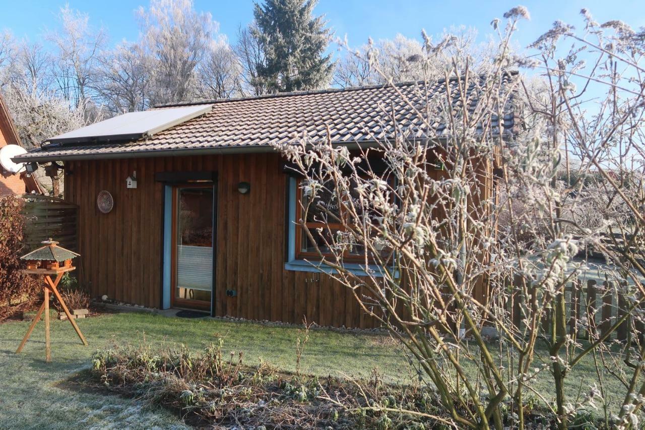 Studioferienhaus Herzogstadt-Целе Екстериор снимка